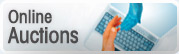 Online Auctions